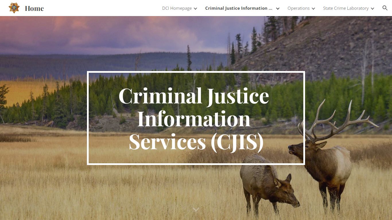 Home - Criminal Justice Information Services (CJIS) - Wyoming